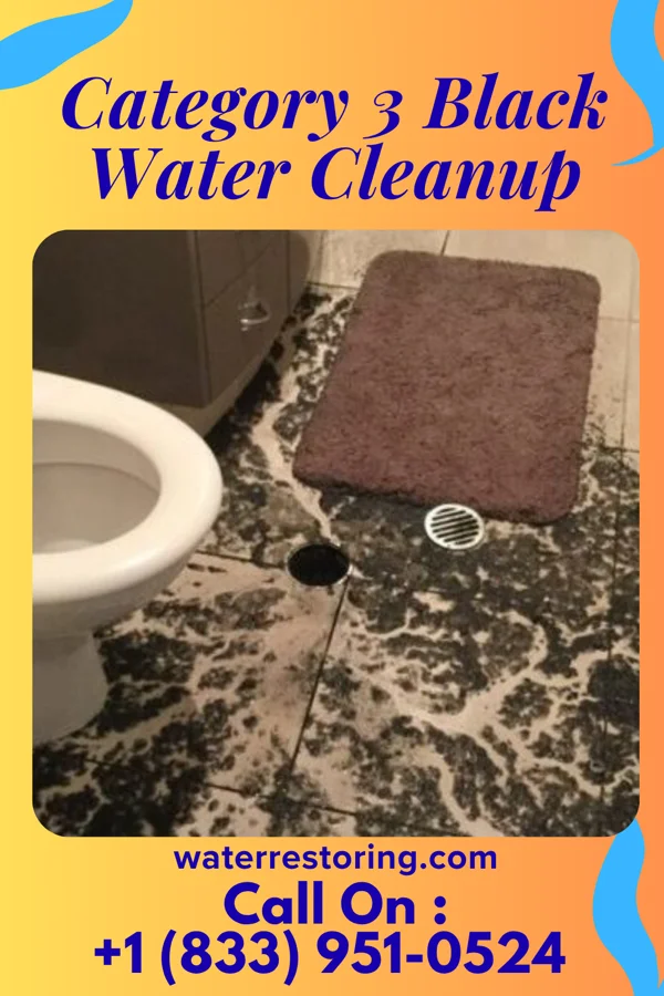 Category 3 Black Water Cleanup in Forest Hill, TX